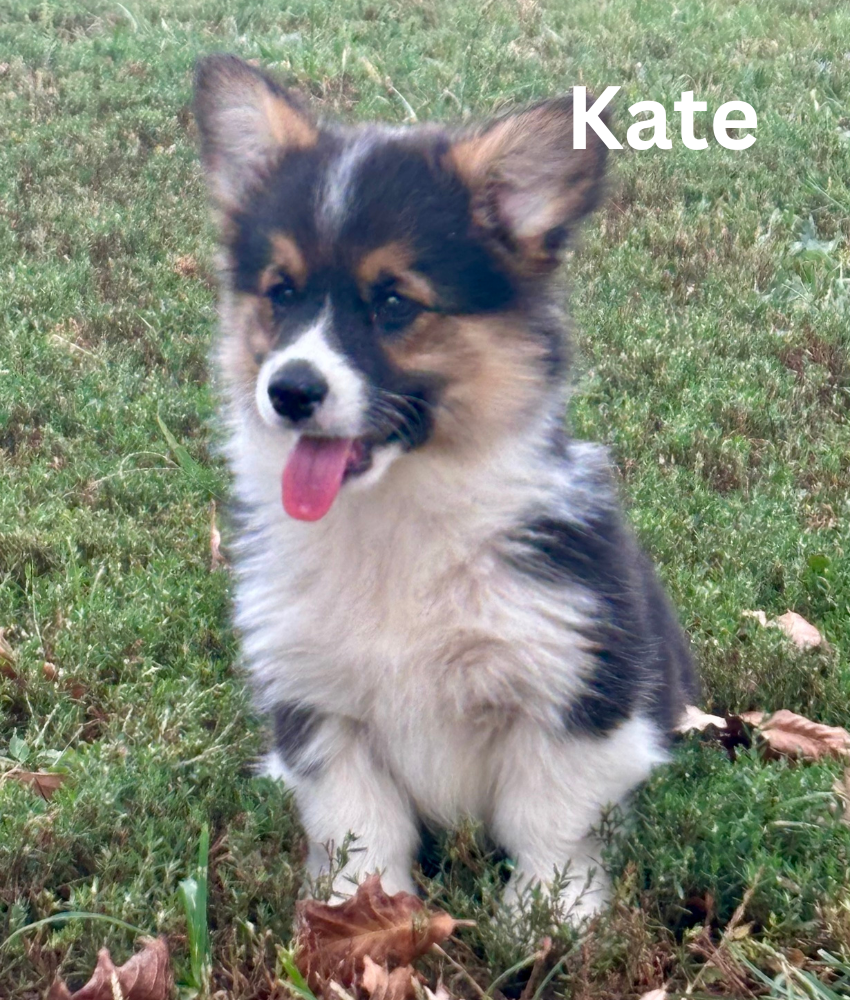 Kate