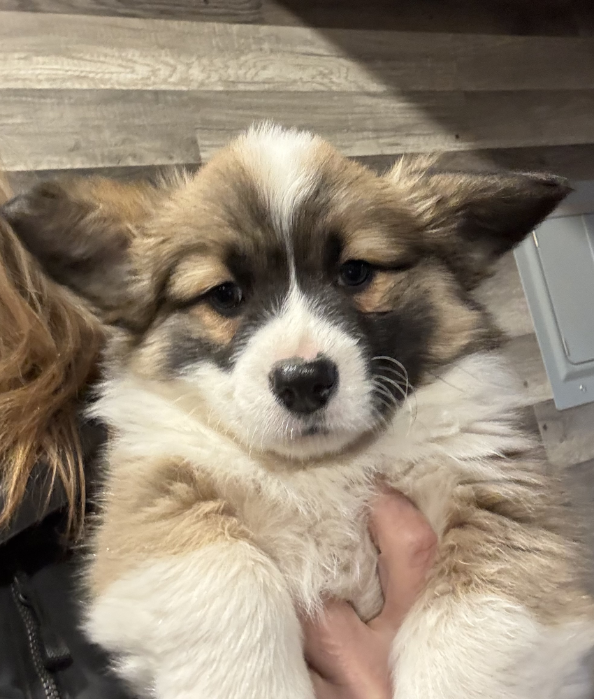 Calab - Homed, renamed Frito